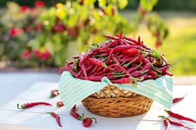 Hot Pepper and Calcium Deficiency