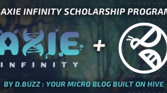 D.Buzz Launching its Axie Scholarship Program