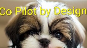 Copilot