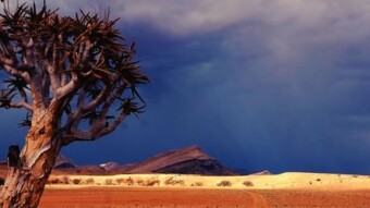When High Change and Low Trust Collide