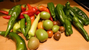 The first harvests have been made, and after them the first preserves