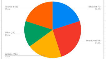 Diversifier or Maximalist?