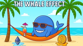🐋 The Whale Effect: Why Crypto Giants Rule the Deep