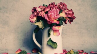 Some Flowers Drop Prematurely