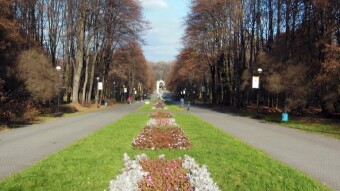 Monday walk in the park, nice and quiet - My Actifit Report Card: November 7 2022