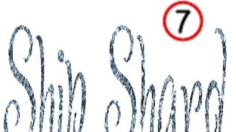 Ship Shard blog navigation seventh menu