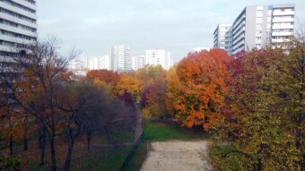 Further positive and warm, in the park autumn cleaning