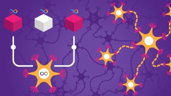 Staking On The Internet Computer: NNS, Neurons, & Staking