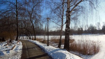 It was a beautiful, sunny Sunday, it smelled like early spring - My Actifit Report Card: January 21 2024