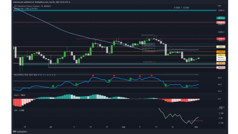 Daily Technical Analysis: BTC finds support at $19,500 / Shorts are too confident!