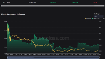 BTC Daily Technical Analysis: The Long Hunt Begins / Inflation not expected as analysts predicted!!!