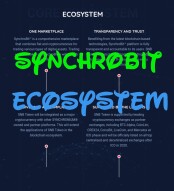 SYNCHROBIT - AN OVERVIEW OF THE PLATFORM