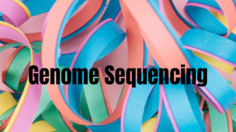 Genome Sequencing for Good Health