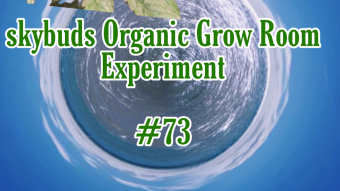 SkyBuds Organic Grow Room Living Soil Experiment #73 - Worm Tea - Making #1