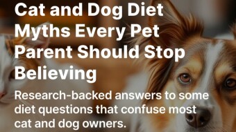 Cat and Dog Diet Myths Every Pet Parent Should Stop Believing