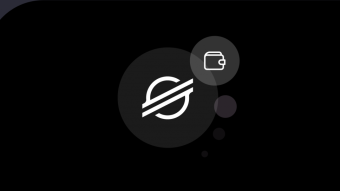 Stellar Wallet 2020