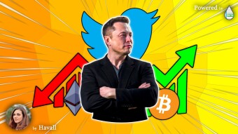 What's ELON MUSK's PLAN? Please STOP TWEETTING!!⛔️📉