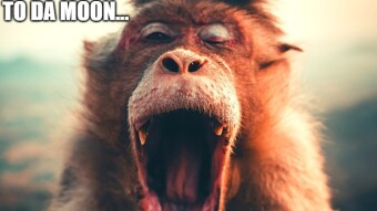 The Open Mouth Syndrome and Why You Should Stay Away From The Ones Suffering Of It