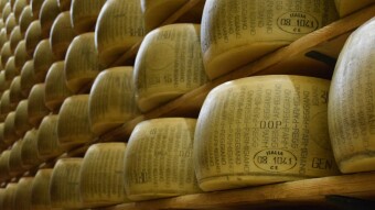 Grana Padano vs Parmigiano Reggiano: the difference