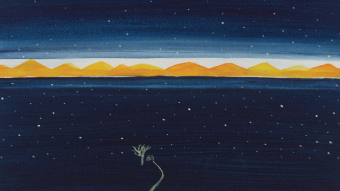 Bitcoin Observations - Week of 5/2