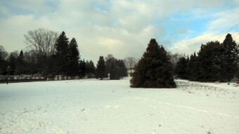 Winter is back, it's beautiful and even a lot of sun - My Actifit Report Card: January 11, 2025