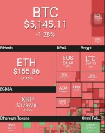 Bear hit the Crypto Market