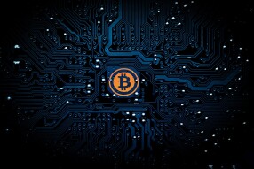 WOW Bitcoin is taking it by storm