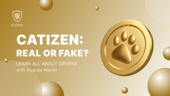 Catizen: Real or Fake? A Comprehensive Guide
