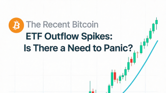 The Recent Bitcoin ETF Outflow Spikes: Is There a Need to Panic?