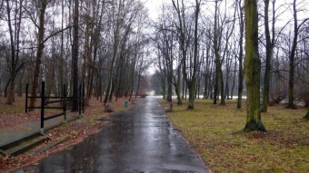 Cold, snow with rain and generally unpleasant for walks - My Actifit Report Card: Janures 8 2025