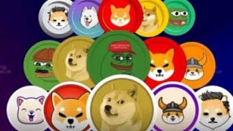 Which MemeCoin will survive?