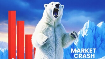 The strength of the Bears