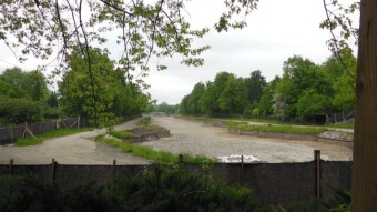 A clearly cooler day, but without rain, was conducive to long walks - My Actifit Report Card: May 24 2023