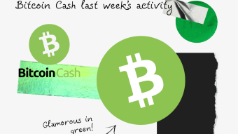 BCH Argentina hits 300 businesses, Taiwan adds another accepting BCH: Last week's BCH activity.
