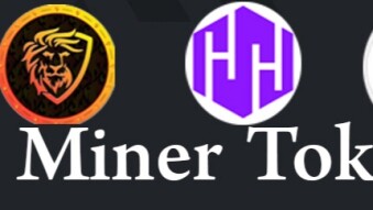 Add Miner Token into Your Portfolio