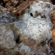Quartz Hunting At The Bay