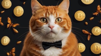 The Unbanked 1.4 Billion: Can Bitcoin REALLY Save Them?