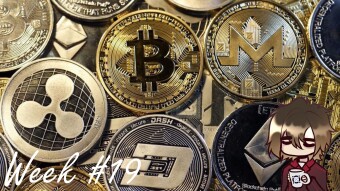 Hodling 11 shitcoins - week 19 - the big crash