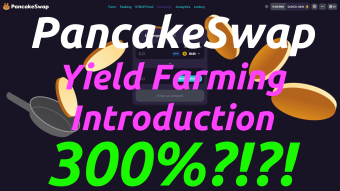 Pancake Swap Yield Farming Introduction (300%?!?!)