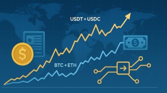 The Rapid Expansion of Stablecoins: Global Impact, Systemic Risks, and the Road Ahead