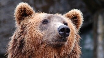 Is Crypto Going Up or Down Before Christmas?