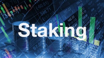 How i earned 2.18 $ by staking my crypto portfolio worth 20.5$ in Octomber