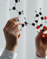 Anti-Alzheimer molecule