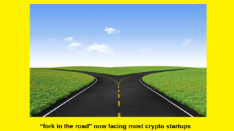 Cool Crypto Startup? : Fork in the Road is Here- "As the Bubble Bursts"