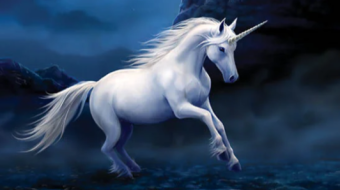 Unicorn Lore