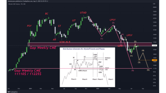 BTC Weekly Analysis: Wyckoff Schema, Balances on Exchanges & Market Cycle.