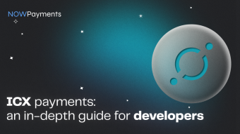 ICX Payments: An In-Depth Guide for Developers