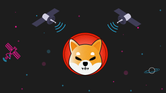 Shiba Inu Cryptocurrency: Is SHIB a Good Investment?