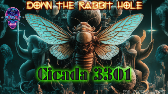 The Fascinating Mystery of Cicada 3301: Puzzles, Theories, and More