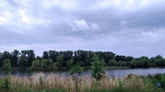 A mixed day, rain in the morning, then a bit of sun... - My Actifit Report Card: May 30, 2026